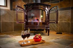 Mountain Cabana: Forest Views, Fireplace, Pet & Kid Friendly